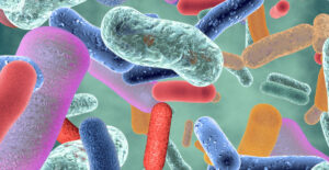 Lee más sobre el artículo Probióticos: microorganismos vivos para la salud y producción animal