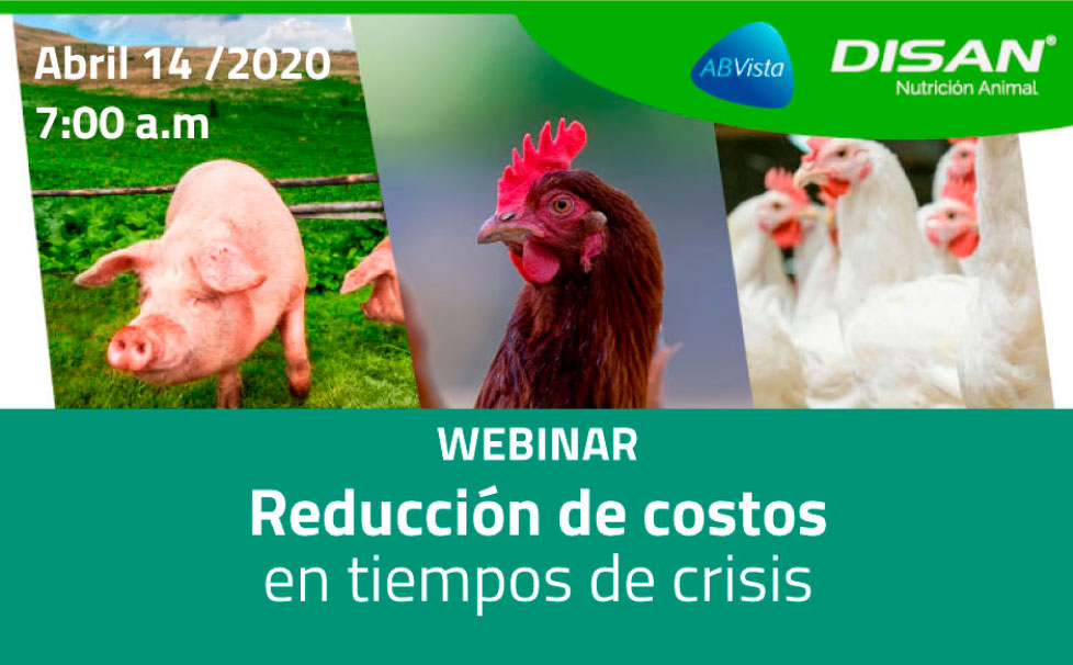 Lee más sobre el artículo <b>Reducción de costos</b> en tiempos de crisis